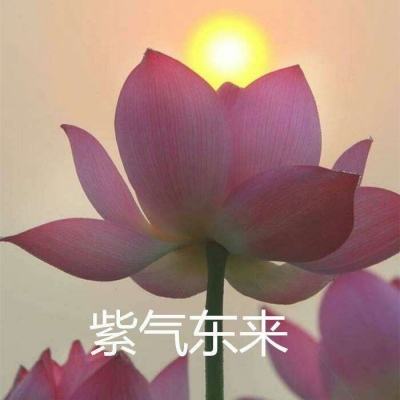 铁甲突击单机版下载